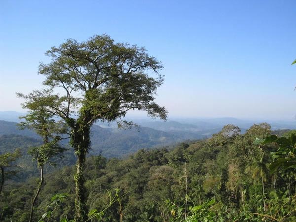 Vista do Mirante na SP-139