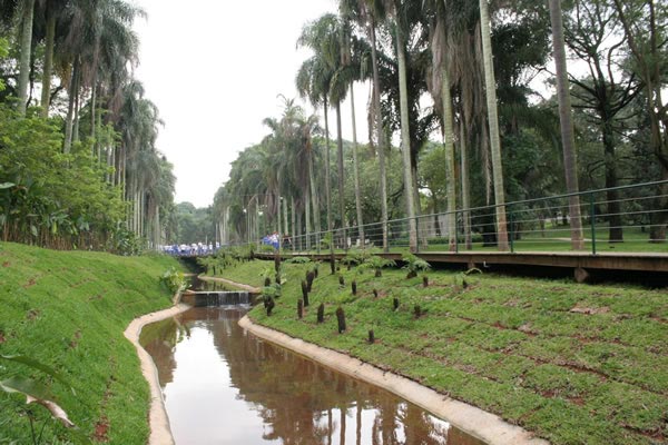 Córrego Pirarungáua voltou a correr a céu aberto após 70 anos