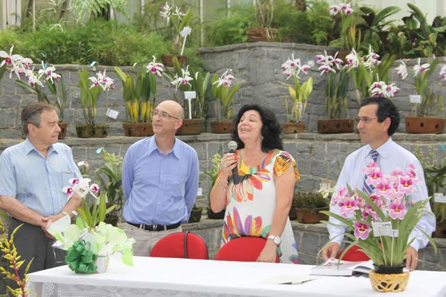 De acordo com Vera Bononi