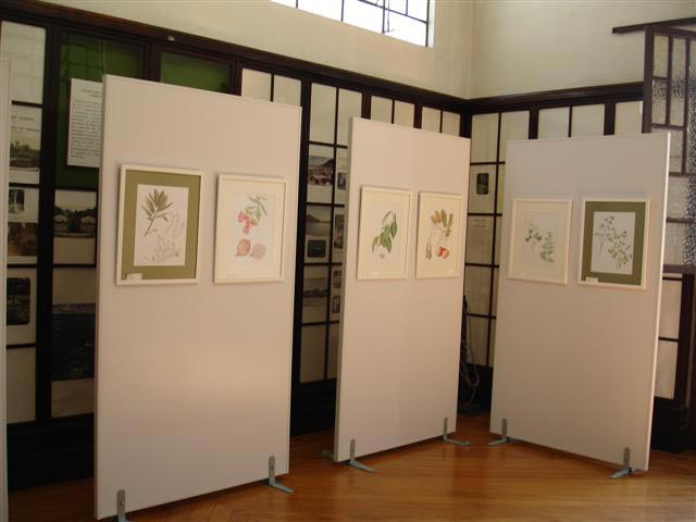 A exposição vai até o dia 28 de fevereiro