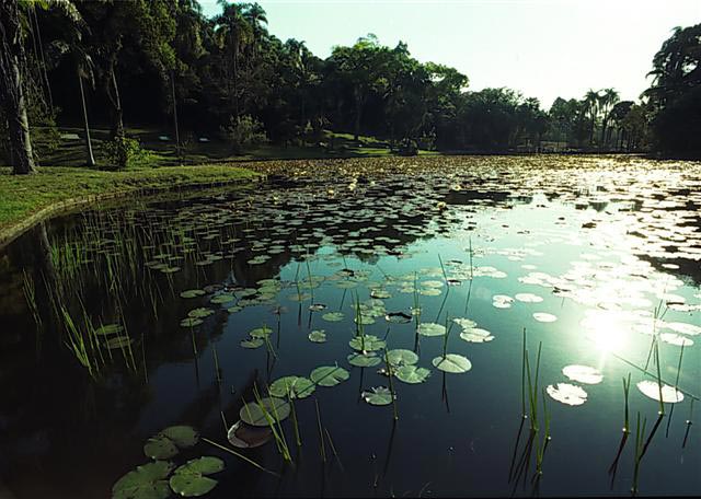 Somente os jardins Botânicos de São Paulo e do Rio de Janeiro possuem essa categoria no Brasil