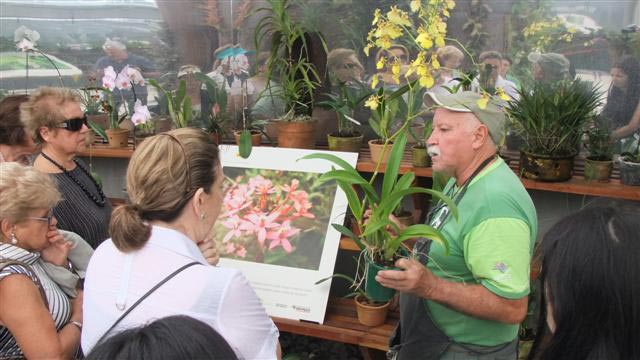 O orquidófilo Trisca explica os procedimentos básicos para cuidar de orquídeas