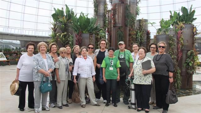 Detalhes de como lavar e podar a planta também são ensinados durante oficina