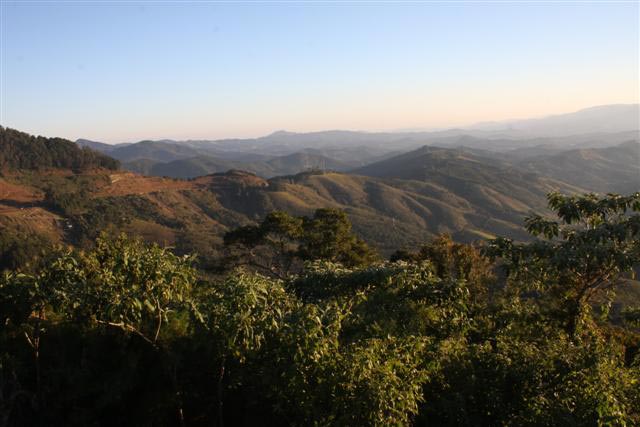 Parque Estadual de Campos do Jordão é uma das atrações da cidade