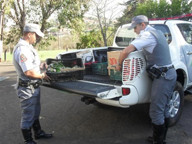 Policiais apreendem mais de 200 pássaros silvestres em Presidente Prudente
